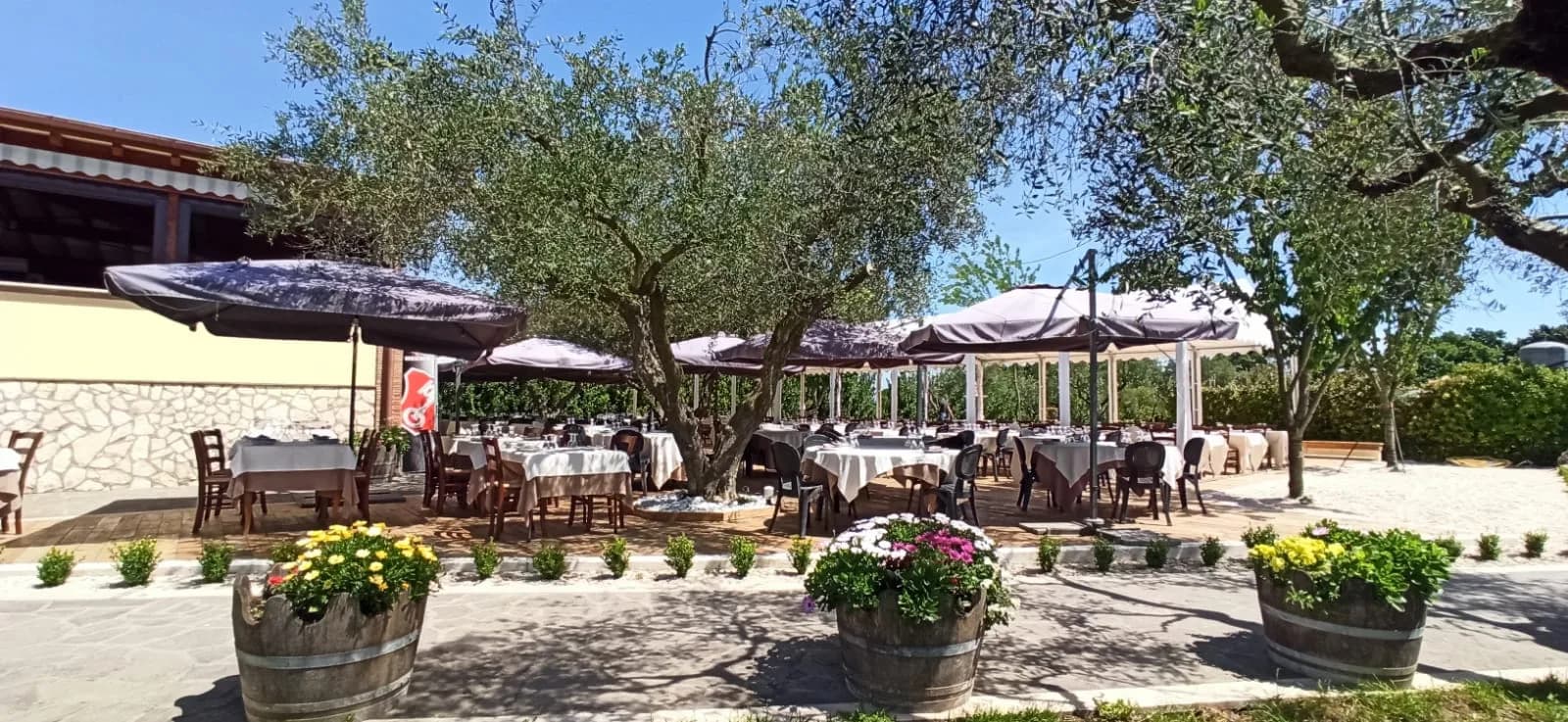 Agriturismo Colle Salomonio