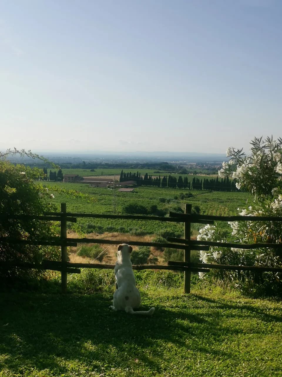 Merumalia Wine Loft