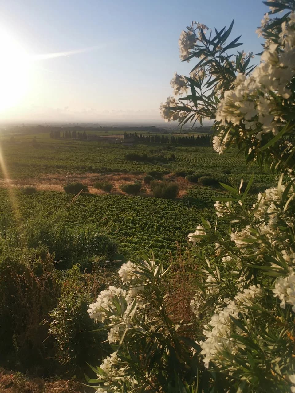 Merumalia Wine Loft