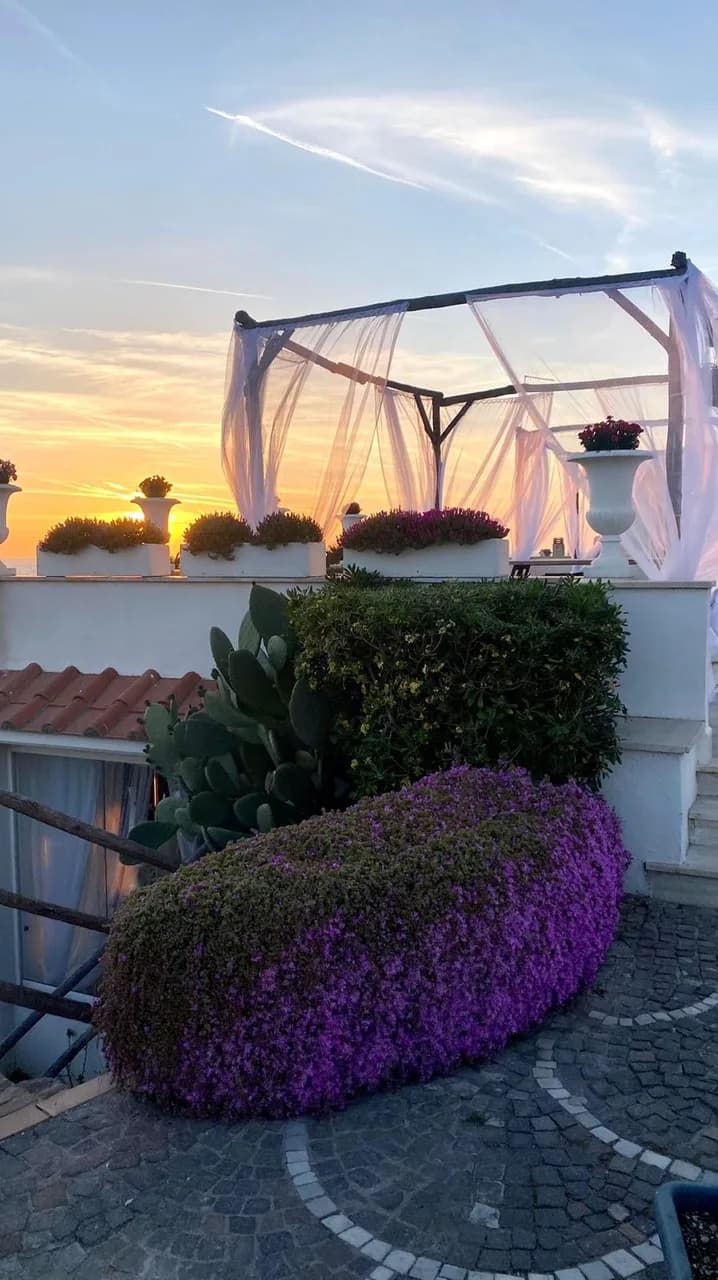 Sunset Events