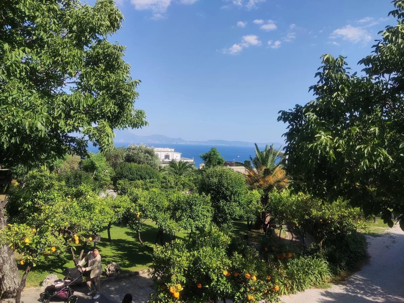 La Terra degli Aranci