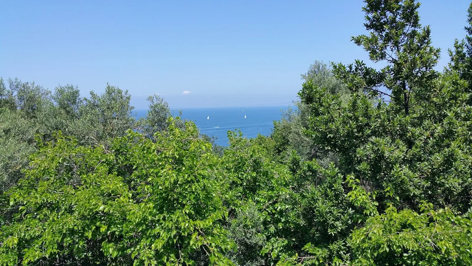 Villa Angelina Massa Lubrense