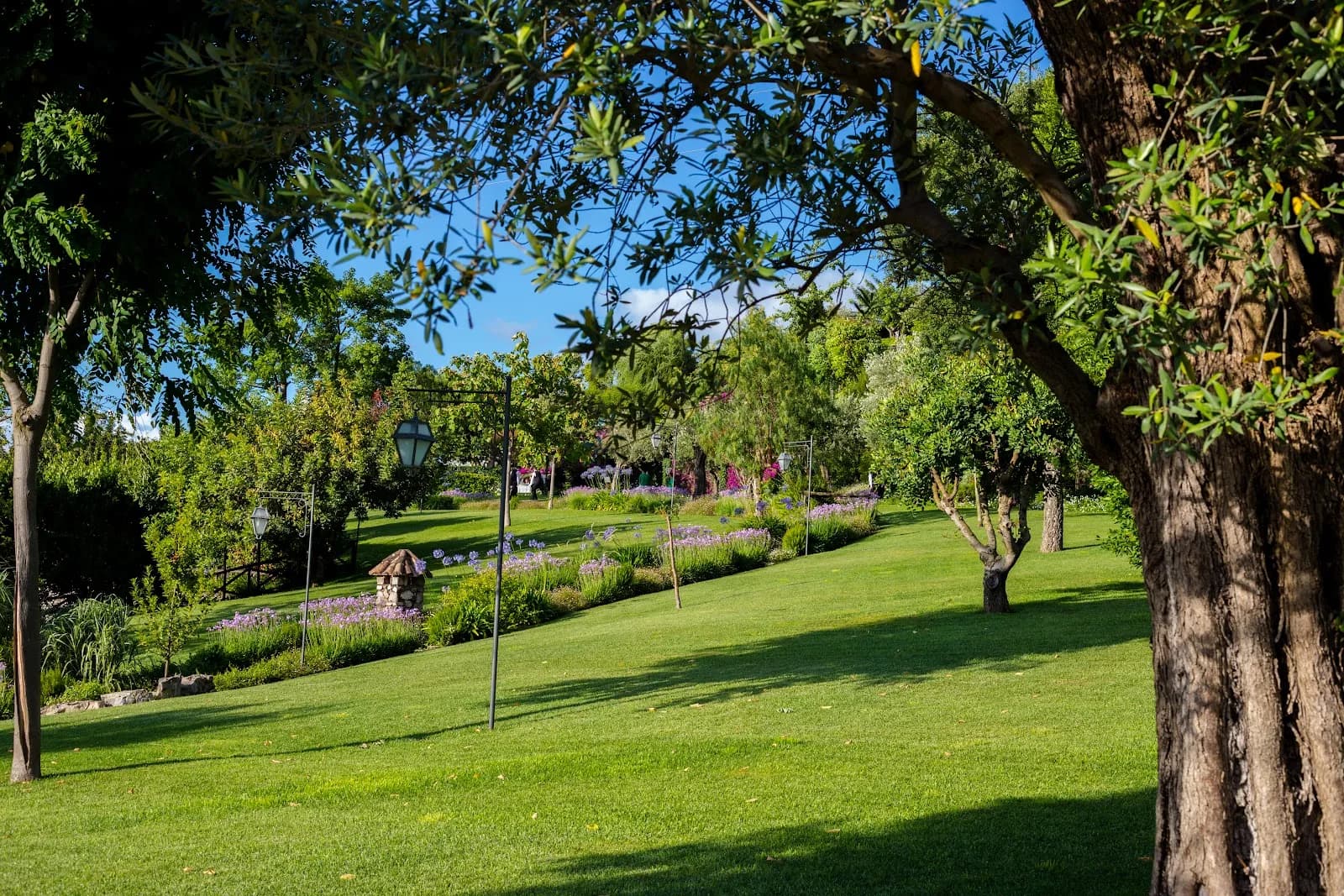 Tenuta Verdoliva