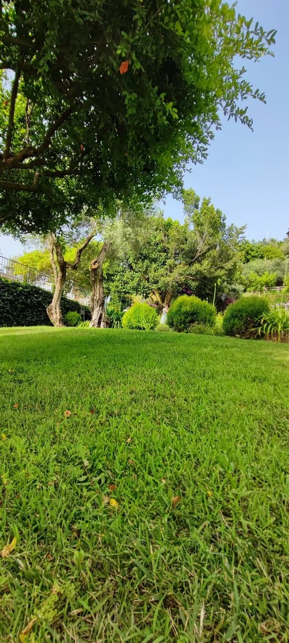 Tenuta Verdoliva
