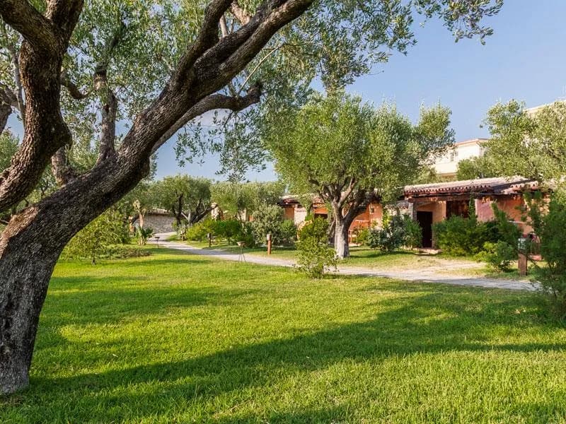 Villaggio degli Olivi