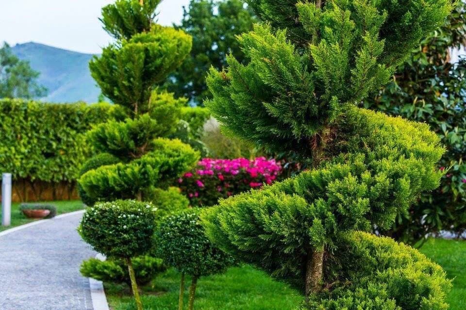 Casale Fevi