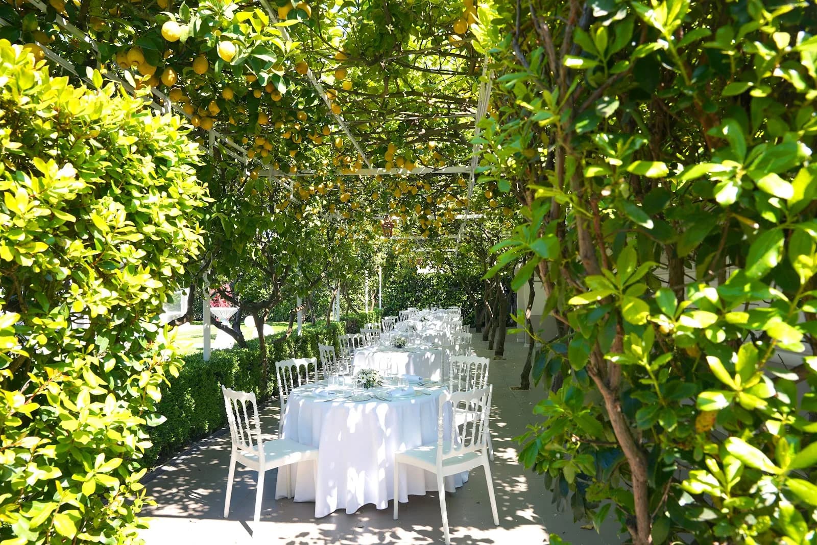 Donna Mariù Food Events