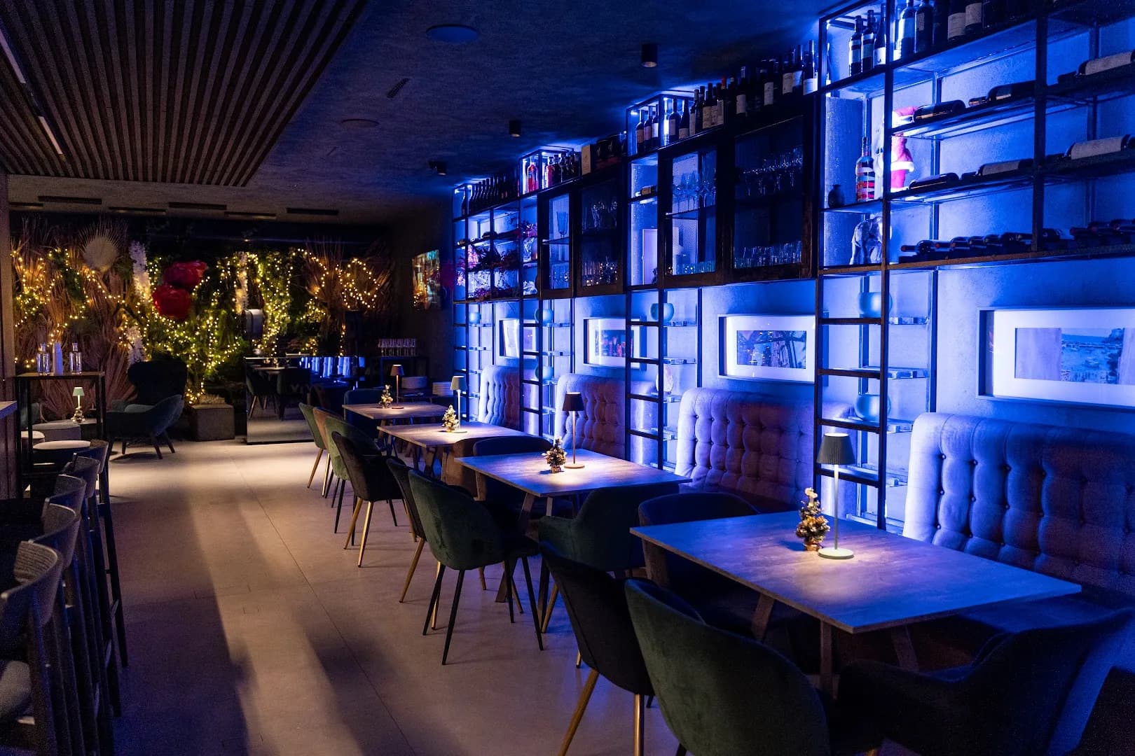 Vivo Lounge