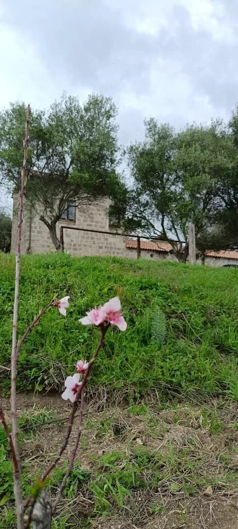 Villa Margherita in Foro Claudio