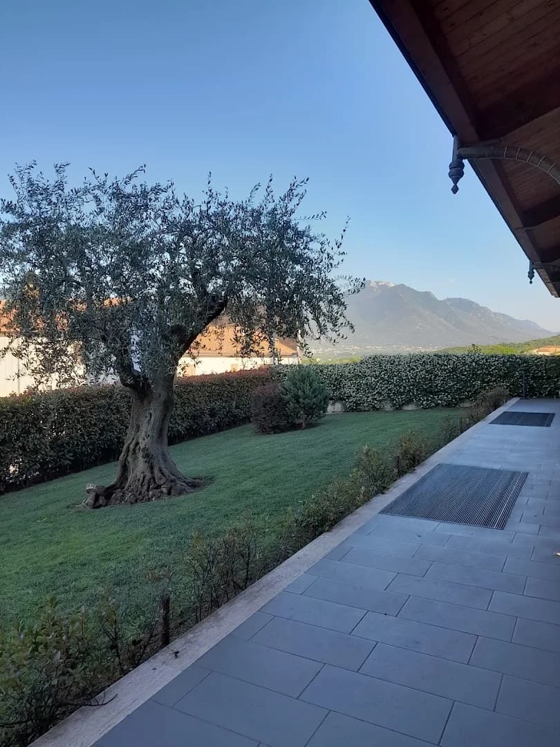 Villa Calvo