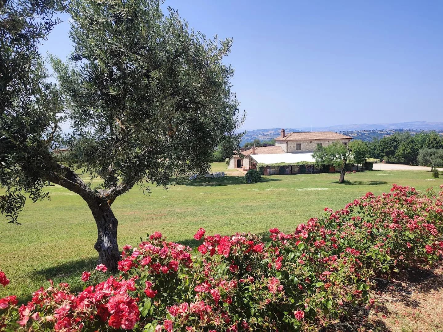 Villa Assunta