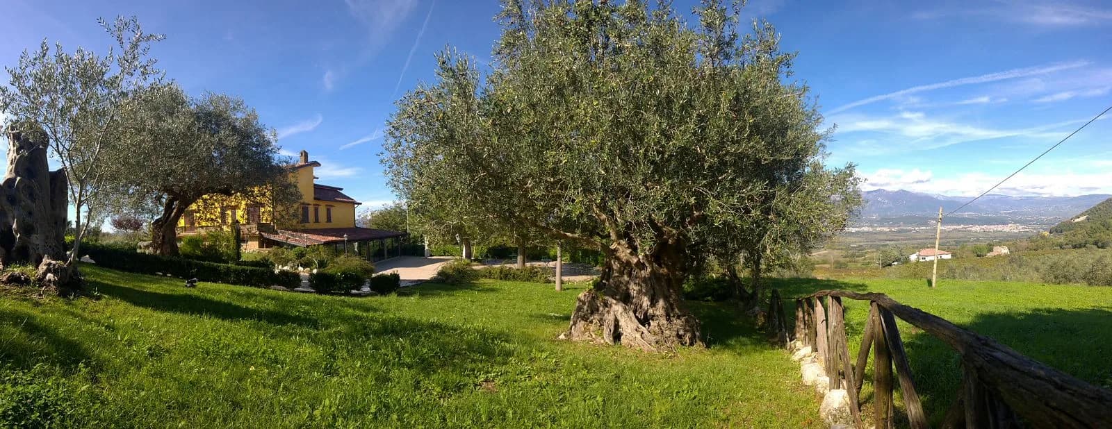 Locanda Radici di Angelo D'Amico