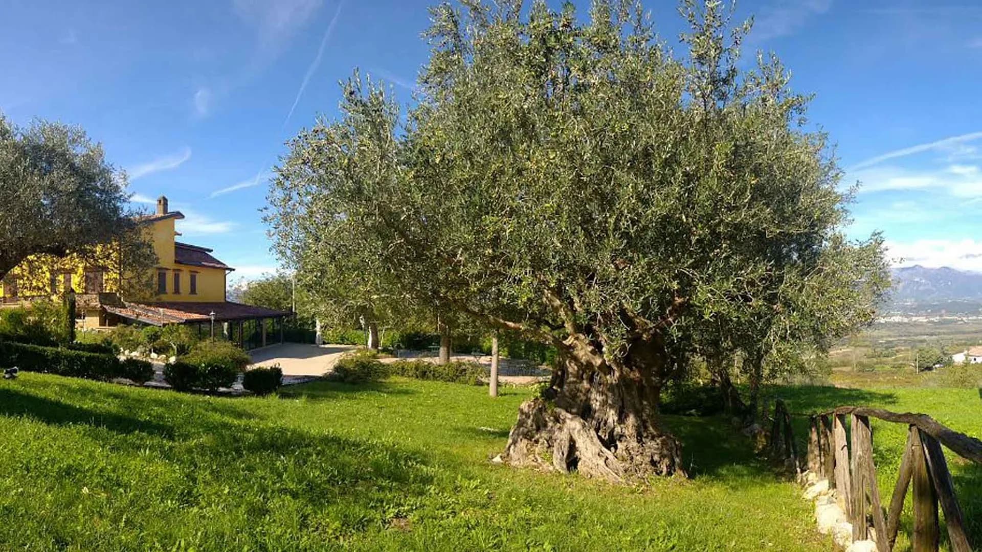 Locanda Radici di Angelo D'Amico