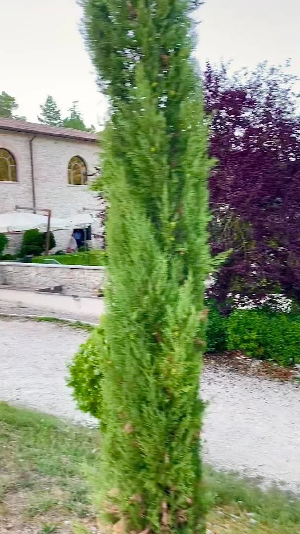 Villa Battistini